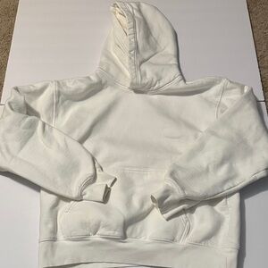 Aritzia Hoodie